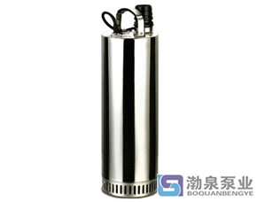 不銹鋼環(huán)保凈化泵、高揚(yáng)程潛水泵