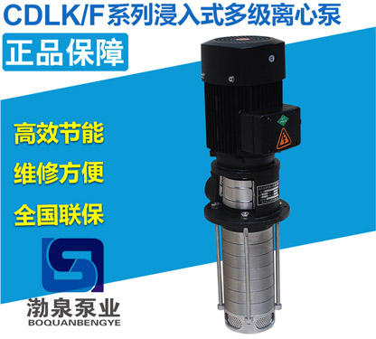 CDLKF4-60/6|浸入式不銹鋼多級離心泵